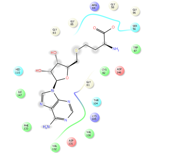 zika_ns5_liginteraction
